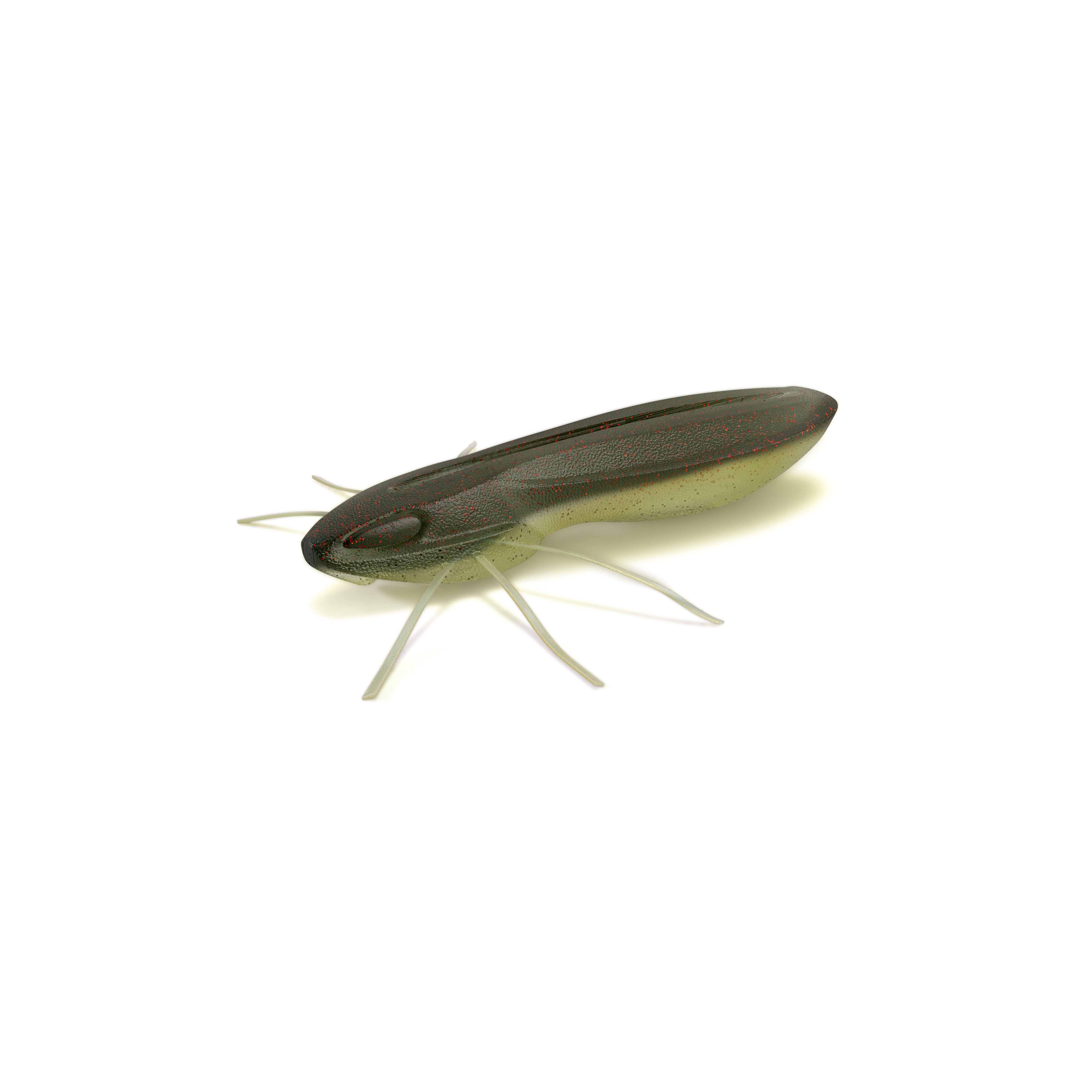 Nays BG 20 - 5.1cm