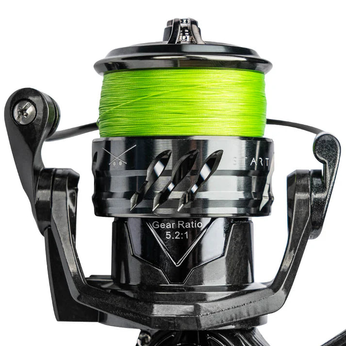 Big L  Solution Start Combo Perch