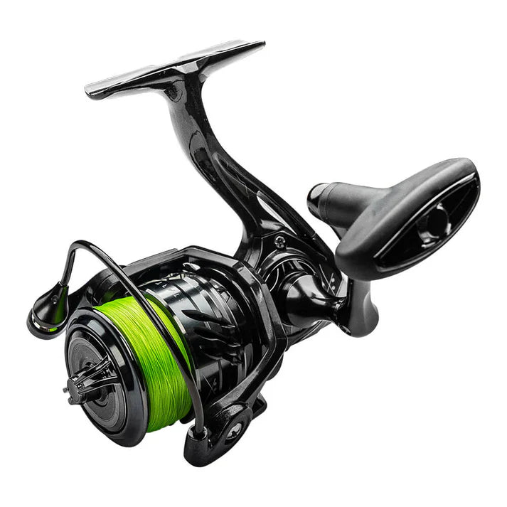 Big L  Solution Start Combo Perch